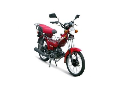 Moped gryphon orion moped 100 na spicah.jpg